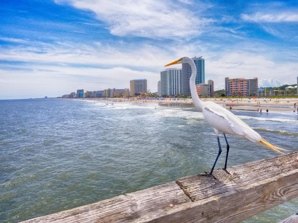 Apartamento Ocean Front 3Rd Floor 1Br Myrtle Beach Exterior foto